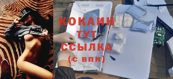 ешки Арсеньев