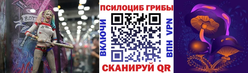 Псилоцибиновые грибы Cubensis  Спасск 